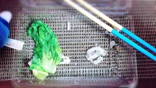 写真 2017-12-04 7 45 22.jpg